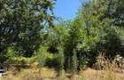 Casa de vanzare, 65 mp, toate utilitatile, 1600 mp teren, zona Perisor - 8