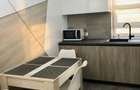 Inchiriez apartament 2 camere complex Kasper Coresi cu aer conditionat - 3