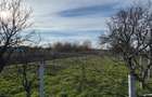 Vand teren intravilan - 1