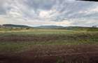 Casă individuală premium | 160 mp utili | Teren 690 mp | Schit | Alba Iulia - 6