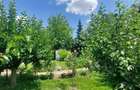 Vila cu 8 Camere Corbeanca | Semineu | Curte 2300mp | Piscina | Sauna - 19
