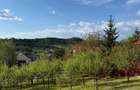 Teren Intravilan 730 mp Valea Mare, Stefanesti, Arges - 5
