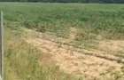 Teren intravilan , 15 km de Ploiesti, 10/mp parcele de la 1.000 - 1