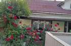 Casă cu 2 camere cu Teren 240 Mp în Sighetu Marmației - 7