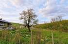 Teren intravilan, 1026 mp , Tomesti - 3