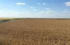 Vand teren agricol 103 ha compact in Judetul Timis
