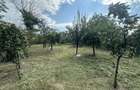 Casa traditionala+teren 1172mp intravilan in Lunca Corbul... - 3