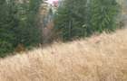 Vand teren intravilan - 7