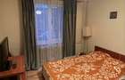 Apartament 2 camere Tei - Bd Ghica Tei, 49 mp, confort 1, anvelopat ) - 5