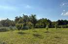 Teren intravilan, 695mp, 28m deschidere,drept, Valea Lupului - 3