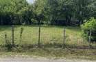 Vand casa plus gradina 68 ari - 6