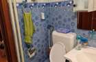apartament 2 camere mosilor - 11