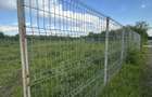 Vand teren intravilan Dragomiresti Vale 900 mp - 3