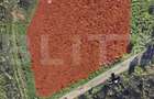 Investitie ! Teren intravilan in Sopor, 2500 mp , front 36 m !