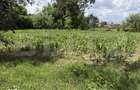 Teren intravilan de vanzare, 3656 mp - Aghires - 2