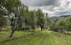 Proprietate 1.500 mp | 4 camere | Priveliste panoramica | Livada