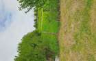 Vand teren intravilan - 7