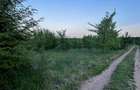 Terenuri de vanzare Ciolpani,sat Piscu,zona linistita,fara tranzit,aproape de padurea Scrovistea. - 13