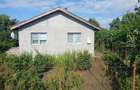 CASA + 1.562 MP teren intravilan | MIRONESTI, GIURGIU | 27.000 Negociabil - 5