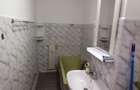 Lacul Tei inchiriere garsoniera Pet-Friendly - 11