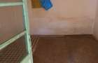 Vand casa in Iratosu Nr 434 1036Mp - 9