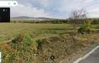 Teren intravilan deschidere 106 m la DN 10 Brasov-Buzau ideal afacere - 1