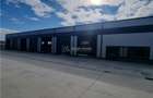 3 Hale metalice noi 2026 suprafata 550mp-fiecare - 7
