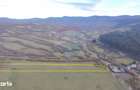 Teren 5.800 mp Purcareni curent, gaz, apa / Strada 30 decembrie