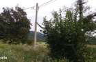 Teren intravilan de vanzare 5735 mp Ribita - 4