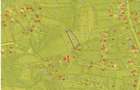 Teren Ungheni, ID: R2832820 - 11