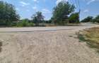 Vand Teren Intravilan in Centrul Localitati Rapsig Jud. ARAD 1250 mp. - 11