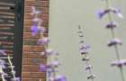 Vile PARK Residence 3 Lumina posibilitate rate - 5