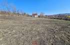 Teren intravilan in Cornu de Jos--4391 mp--43e - 1