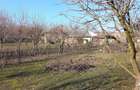 Vand casa in comuna Radovanu, sat Valea Popii, str. Bisericii, nr. 12, Jud. Calarasi. - 5