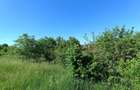 Vila din Gradina Racoti / Conac 5 camere / 6000m2 - 2