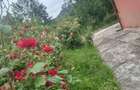 Casă cu 4 camere cu Teren 873 Mp în Cucuteni - 9