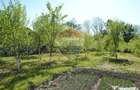 Casa / Vila de vanzare Picior de Munte, Dambovita - Picior De Munte (Dambovita) - 6