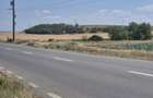 Teren intravilan de vanzare- 7300 mp, in Vintu de jos