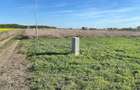 Teren intravilan 608 m2 - Ghiroda, strada Roma- zona foarte buna - 3