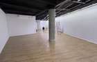 REC3001875 SPATIU COMERCIAL - PARTER SI SUBSOL - CALEA VICTORIEI - AMZEI - 9