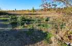 Teren 5000m2 Targoviste - ZONA INDUSTRIALA C.O.S. TGV - Gaesti (Dambovita) - 5
