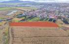 Teren extravilan Bod, 10.000 mp, acces DE 290, zona spre Harman - 1