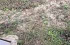 Casa 3 camere, teren 549 mp, zona Barati