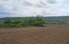 RECO Teren intravilan Hidiselul de Jos langa padure - 2