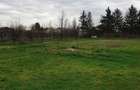 De vanzare casa cu 28 de ari in Martinesti