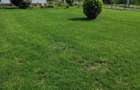 Casă cu 2 camere cu Teren 3500 Mp în Central - 9