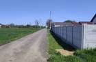 Teren de vanzare 2500 mp, Martacesti, Braila - 4