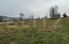 Teren extravilan 6200mp zona Rahau - 1