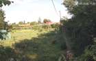 Casa curte si cca 5000mp la 50km de Bucuresti - 1