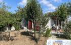 Casă cu 3 camere cu Teren 640 Mp în Traian - 15